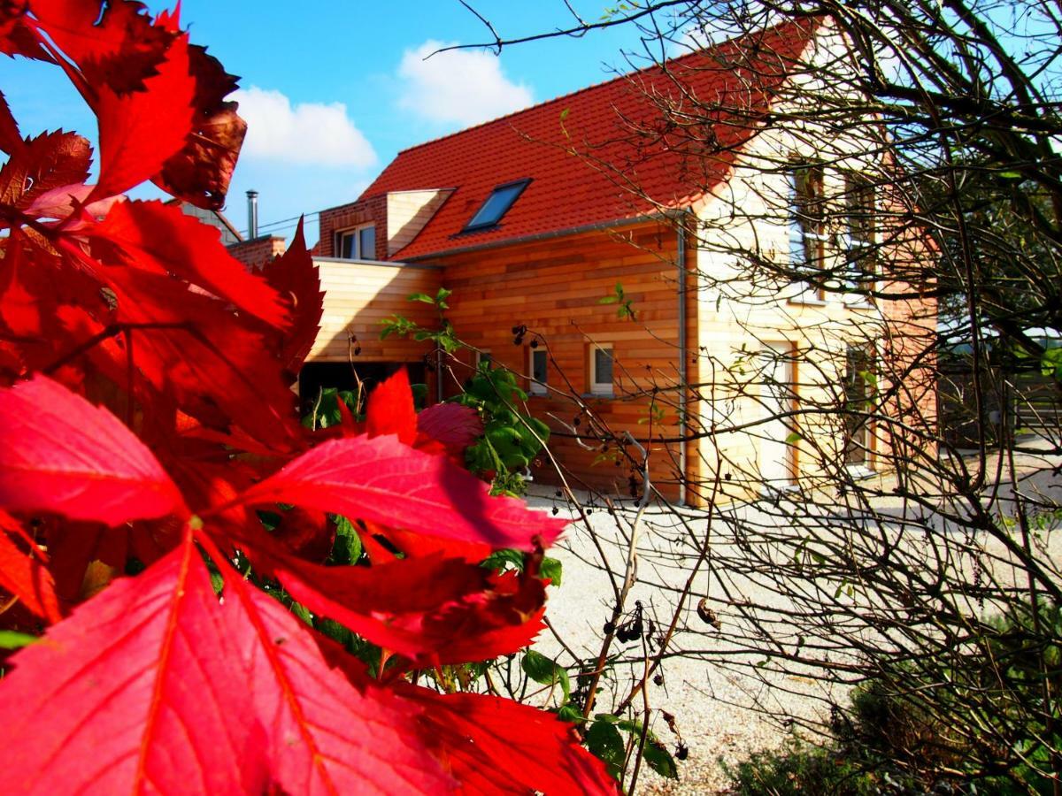 Archipel Holiday Cottage Ellezelles Exterior photo
