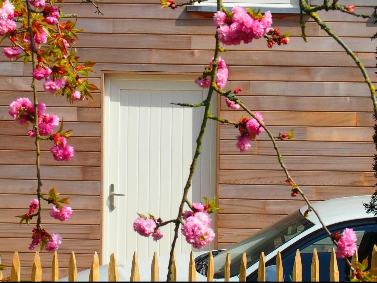 Archipel Holiday Cottage Ellezelles Exterior photo